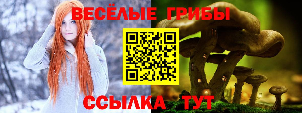 Галлюциногенные грибы MAGIC MUSHROOMS  Вход с VPN  Феодосия 